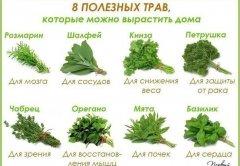 Полезные травы)))