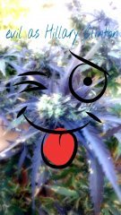 PicsArt 1350832541101