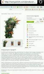 Canna Sutra