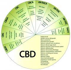 CBD chart