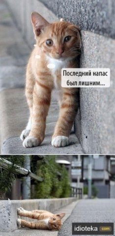 post-889-12646956906659_thumb.jpg