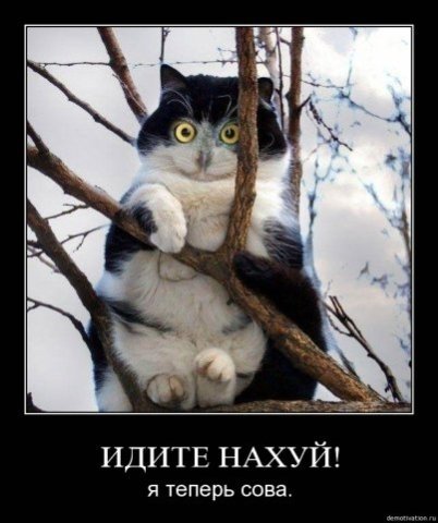 post-889-12646956984719_thumb.jpg