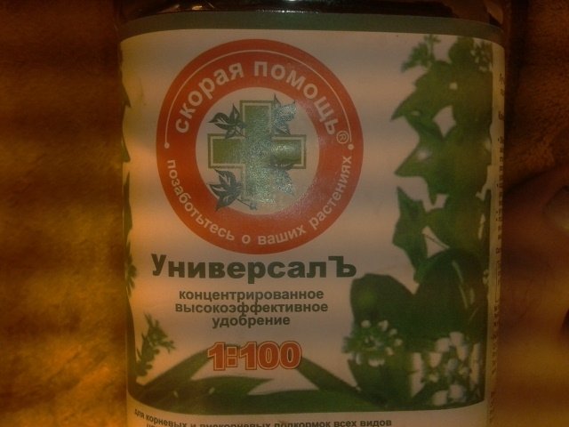 post-10097-0-77840800-1327226855_thumb.jpg