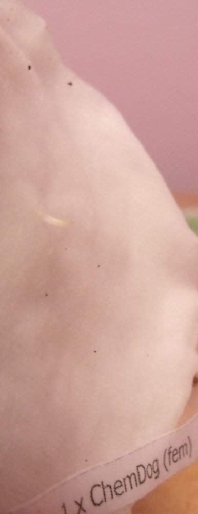 post-171-0-10214000-1326908410_thumb.jpg
