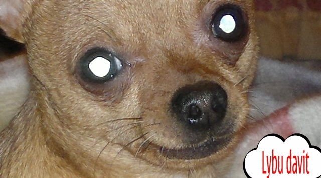 post-2568-0-12433000-1327865201_thumb.jpg