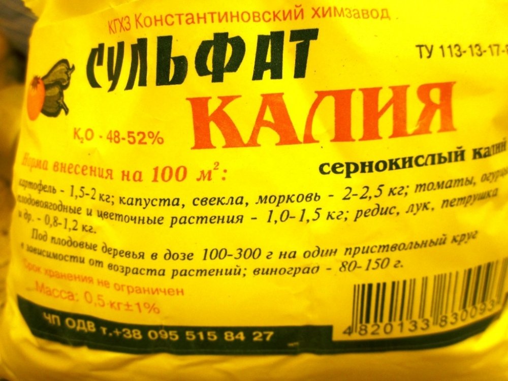 post-10530-0-11273400-1357494999_thumb.jpg