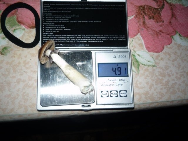 post-11789-0-61266600-1358434427_thumb.jpg