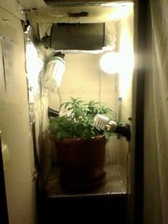 post-12566-0-03004400-1358856647_thumb.jpg
