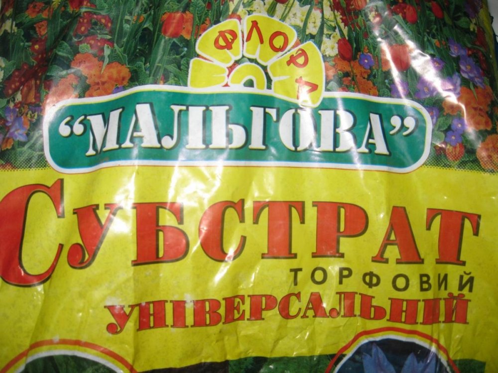 post-18890-0-99139600-1389863269_thumb.jpg