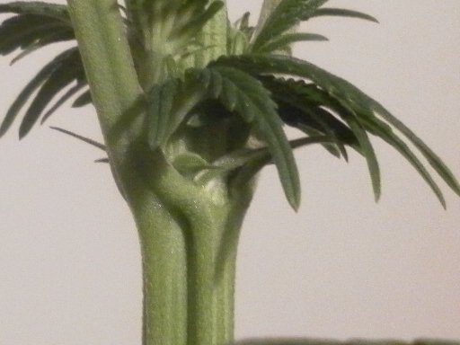 post-20165-0-62446100-1421143823_thumb.jpg