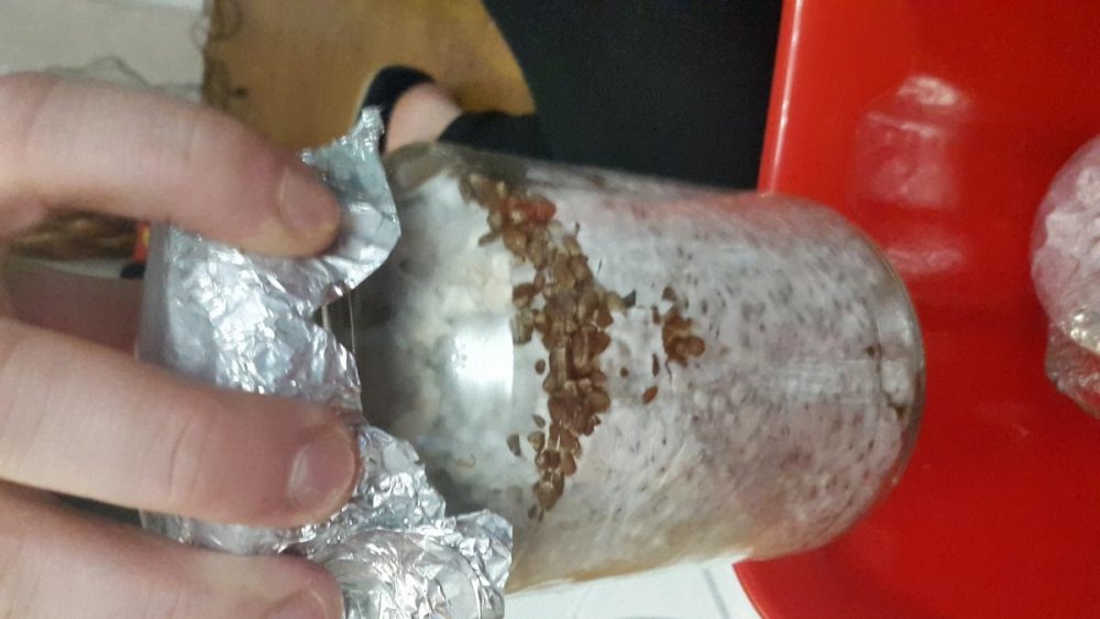 post-15525-0-77989700-1452710593_thumb.jpg