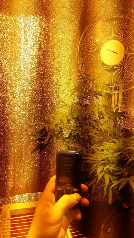 post-36950-0-93489300-1484506508_thumb.jpg