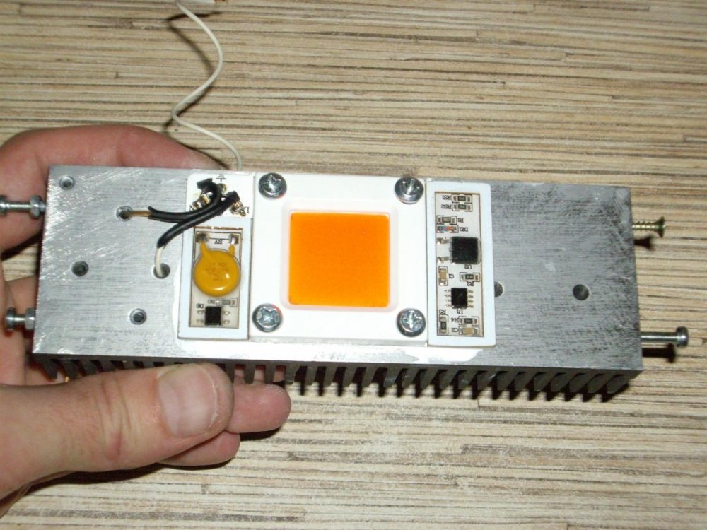 post-39258-0-17878400-1484150740_thumb.jpg