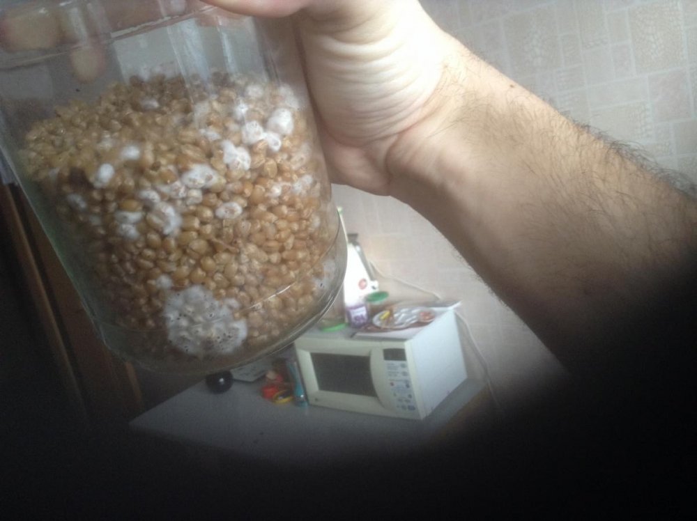 post-40012-0-91284100-1483719854_thumb.jpeg