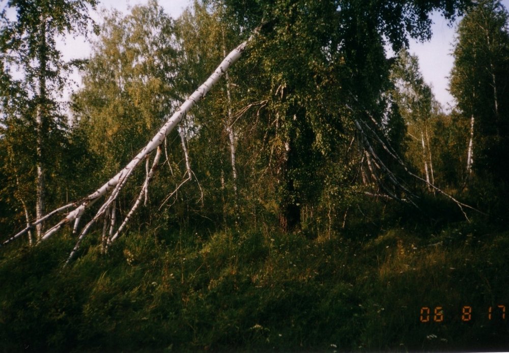 post-22-1203840517_thumb.jpg
