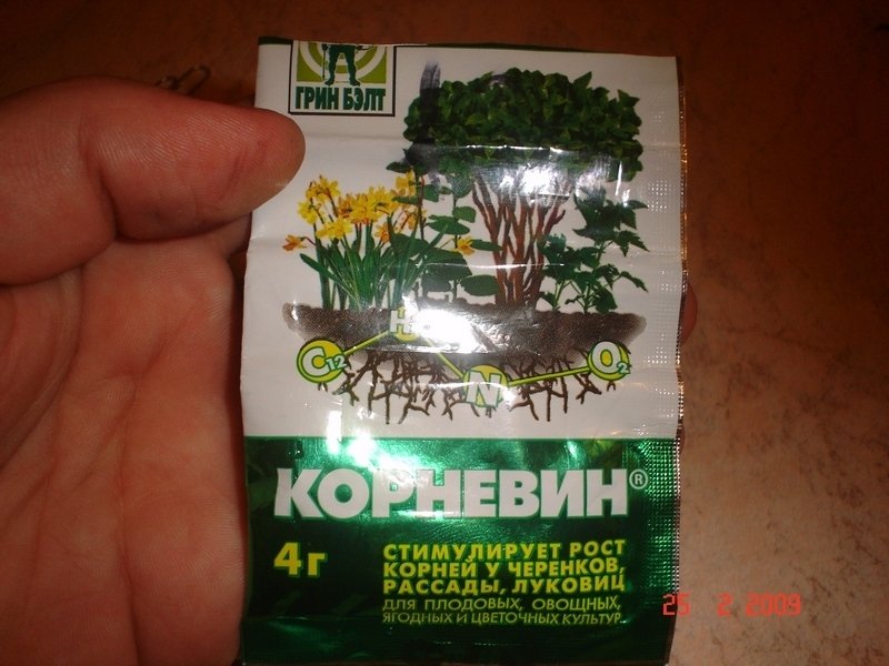 post-248-1235562758_thumb.jpg