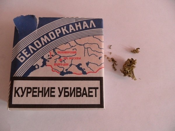 post-10979-0-54466400-1360059263_thumb.jpg