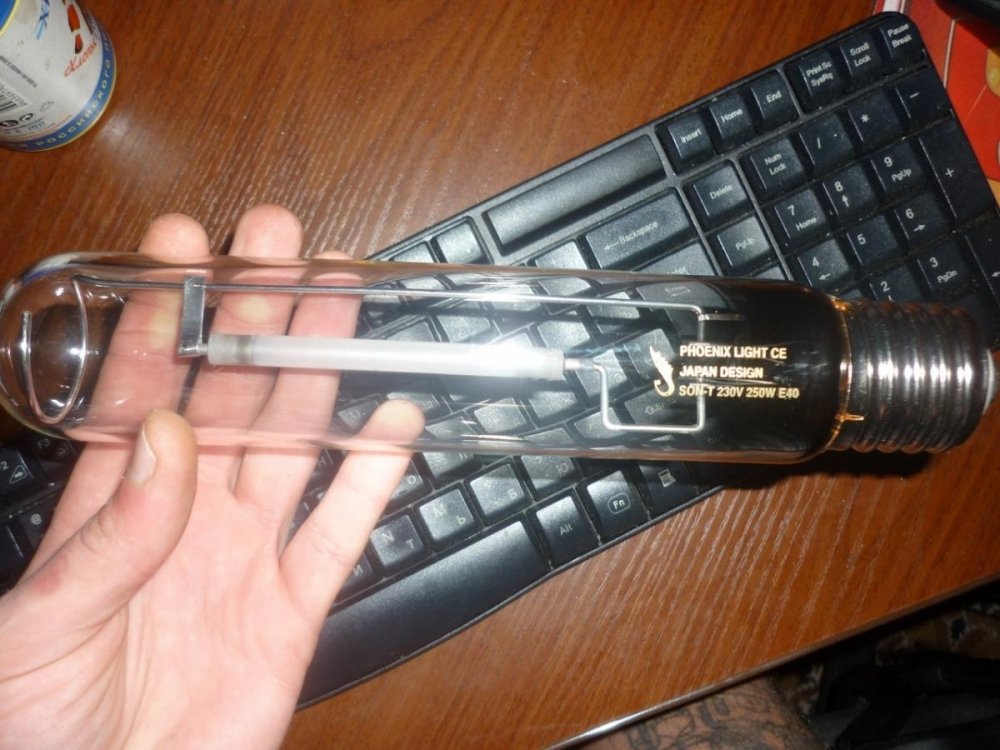post-13649-0-80937500-1359742433_thumb.jpg