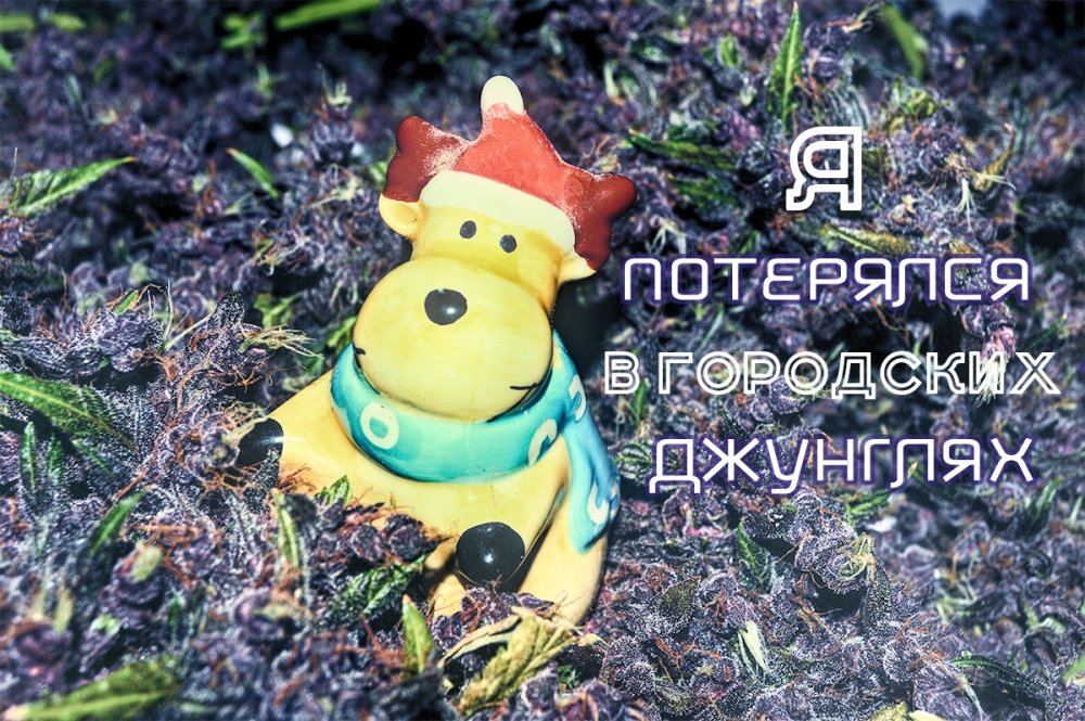 post-16434-0-92617200-1392769551_thumb.jpg