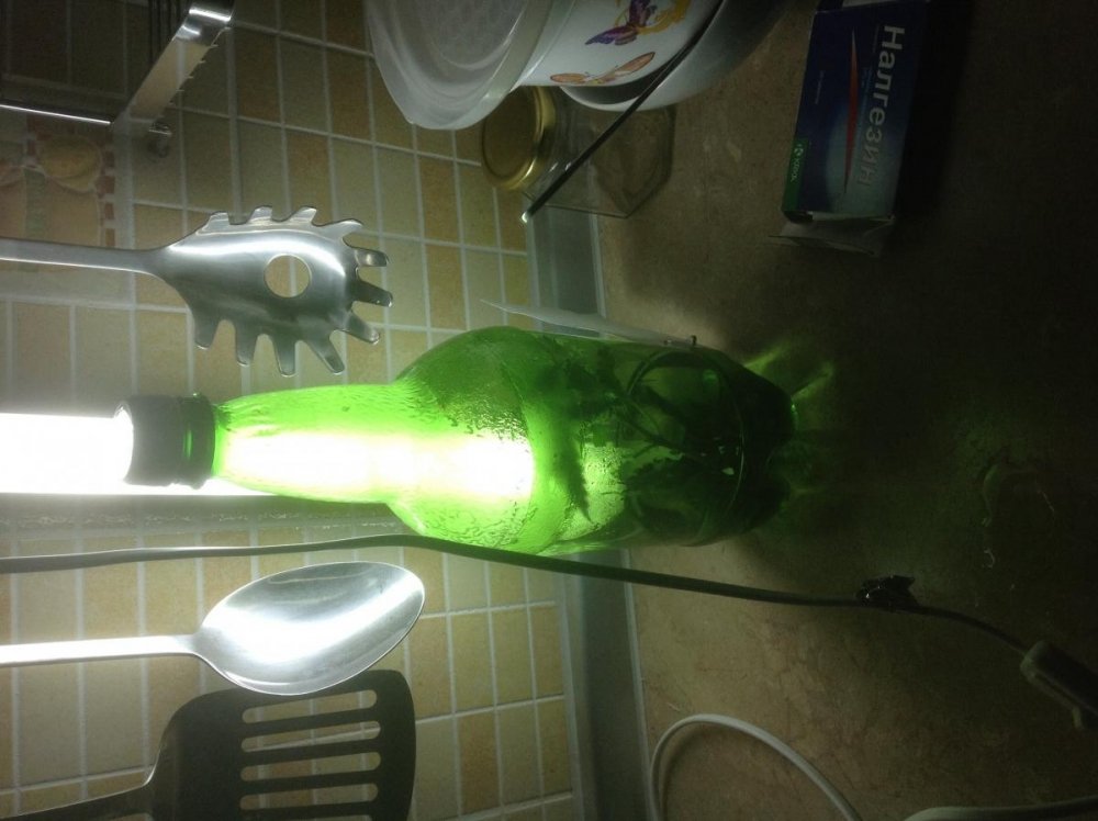 post-19207-0-68910500-1391723687_thumb.jpg