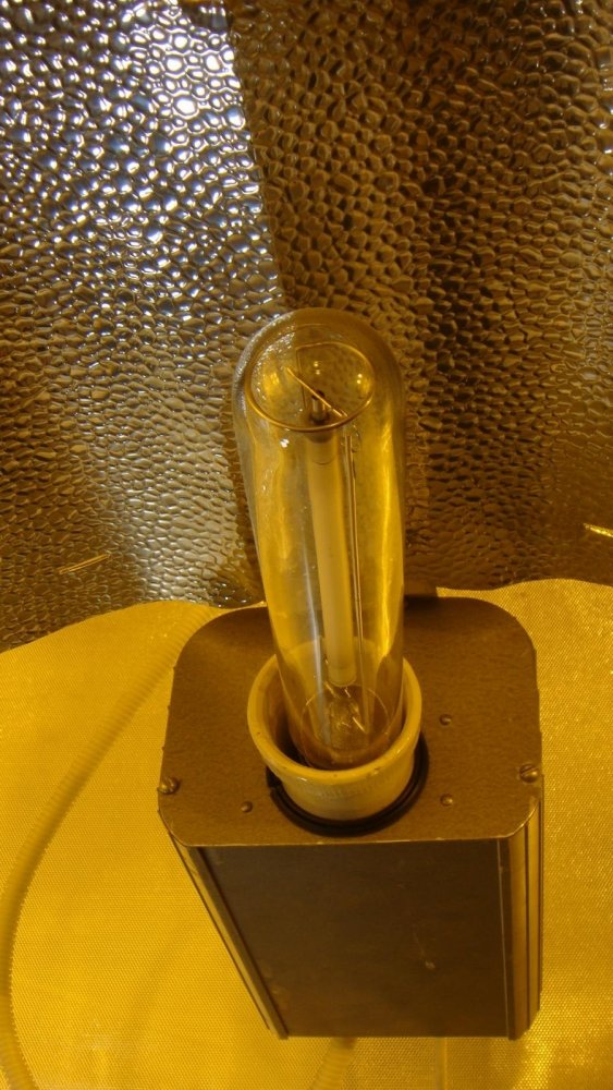post-19433-0-23340100-1392816685_thumb.jpg