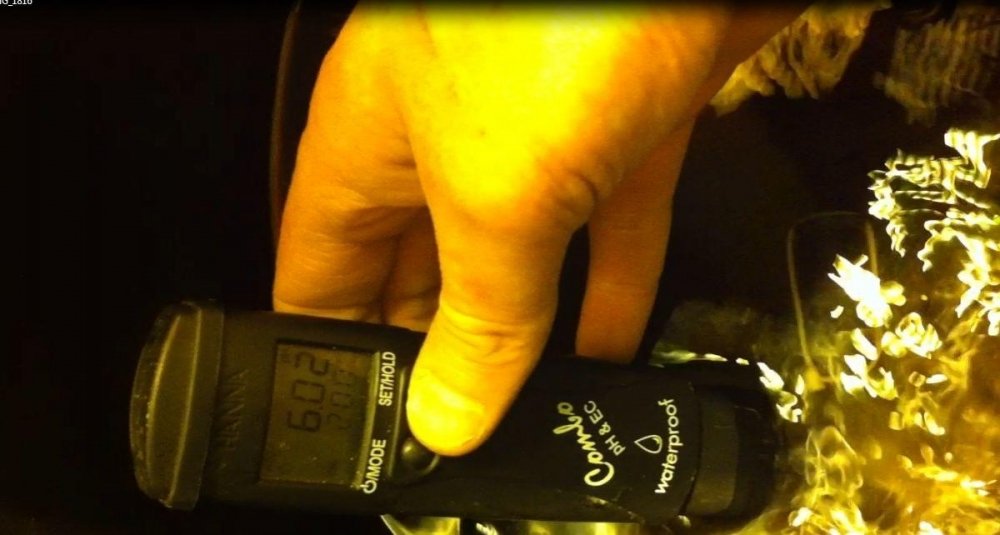 post-13049-0-68909800-1422870943_thumb.jpg