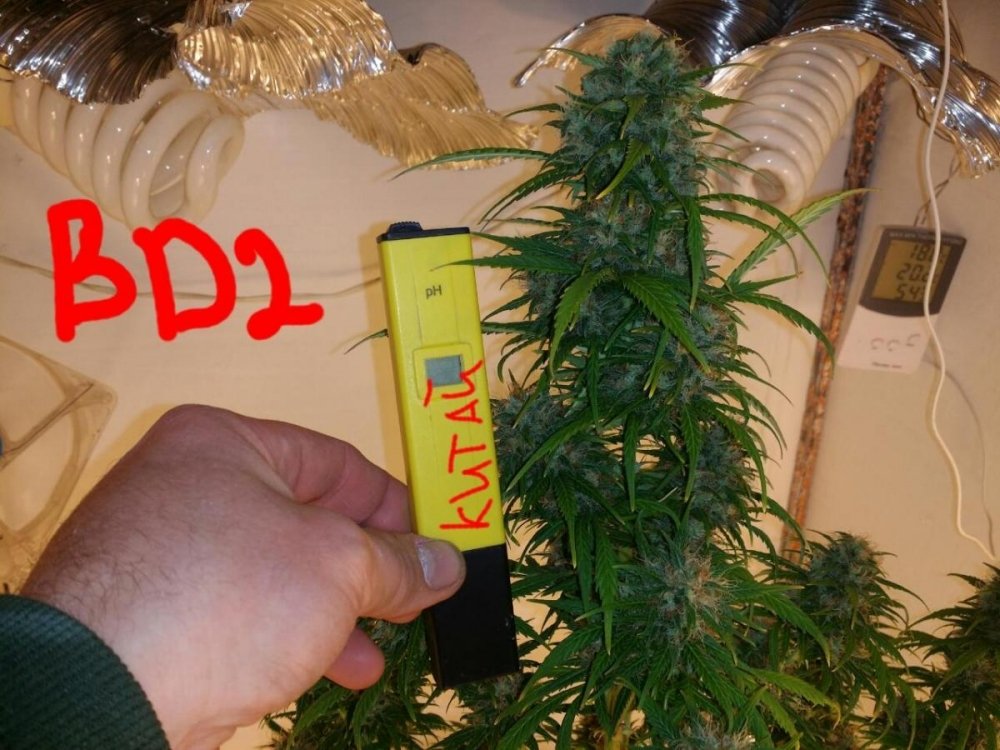 post-20770-0-34859700-1423385394_thumb.jpg