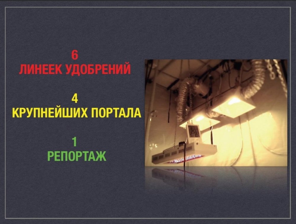 post-19757-0-61480900-1455874089_thumb.jpg