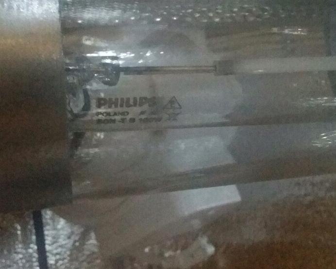 post-30887-0-40381800-1455190056_thumb.jpg