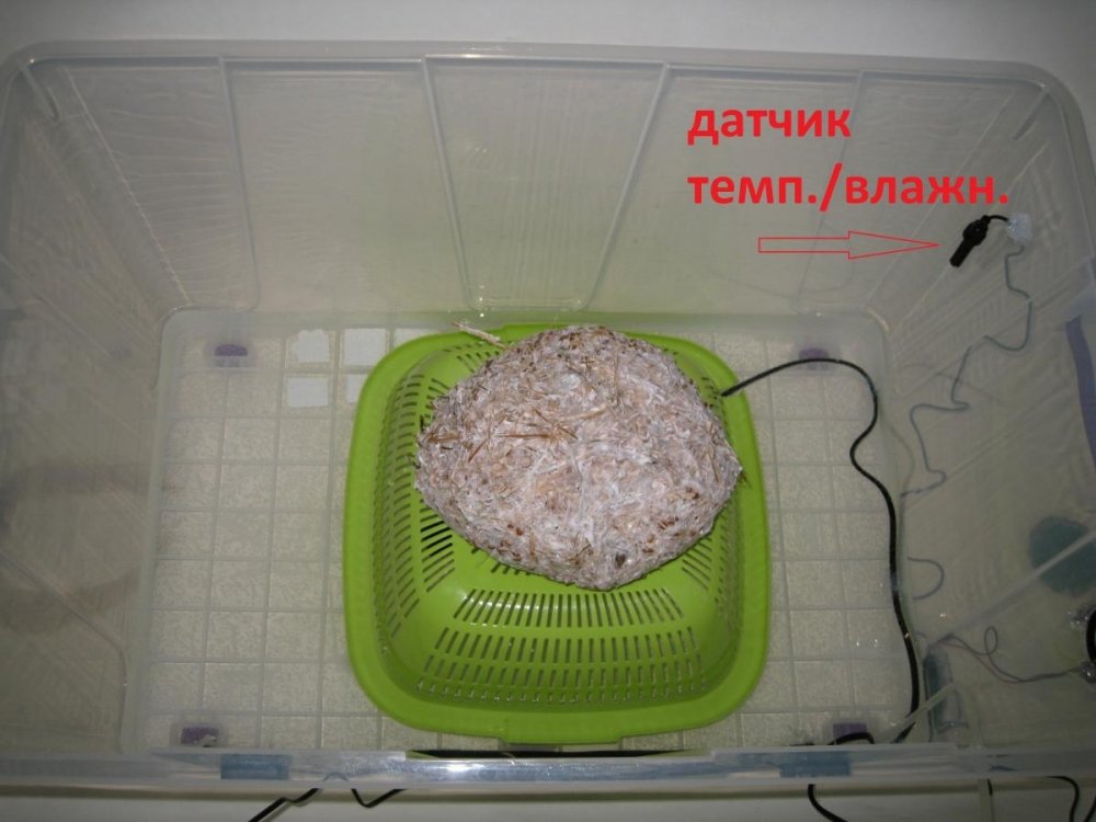 post-20684-0-09973200-1487927923_thumb.jpg