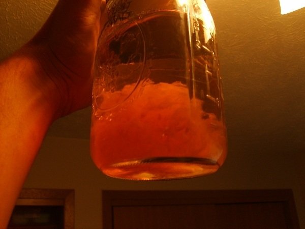 day 11 Malt.jpg