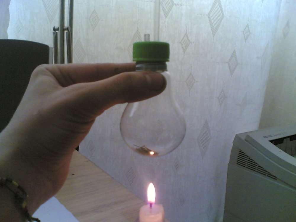 post-22-1205318648_thumb.jpg