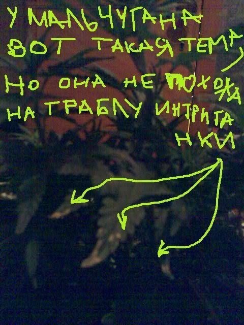 post-66-1205511793_thumb.jpg