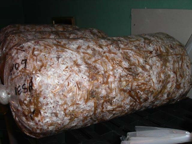 post-91-1205861774_thumb.jpg