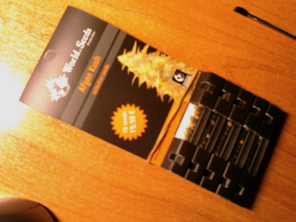 IMAG0020.jpg