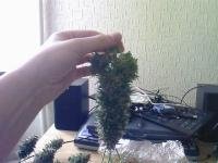 post-3715-1301136462,1308_thumb.jpg