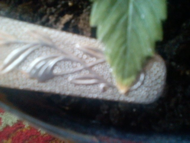 msg-11098-0-05087200-1331290687_thumb.jpg