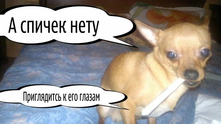 post-2568-0-09938900-1331439769_thumb.jpg