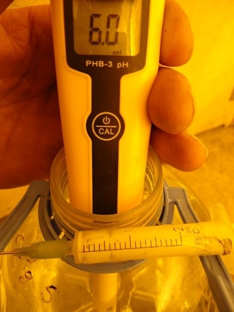 post-3668-0-60536400-1331534752_thumb.jpg
