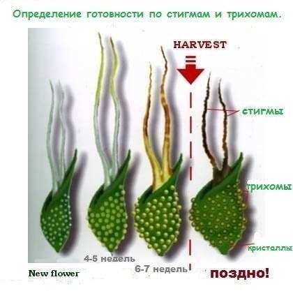 post-13697-0-00538300-1394975603_thumb.jpg