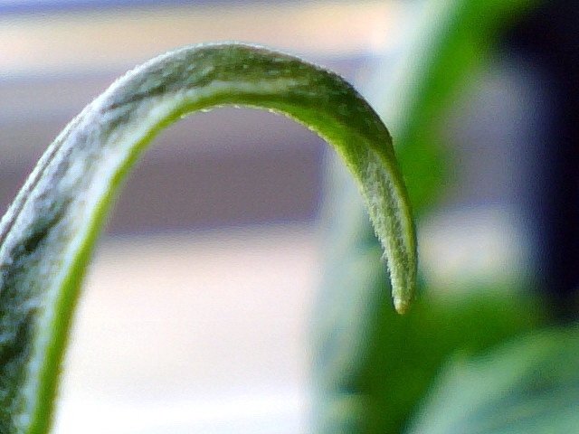 post-17704-0-34644500-1395407719_thumb.jpg