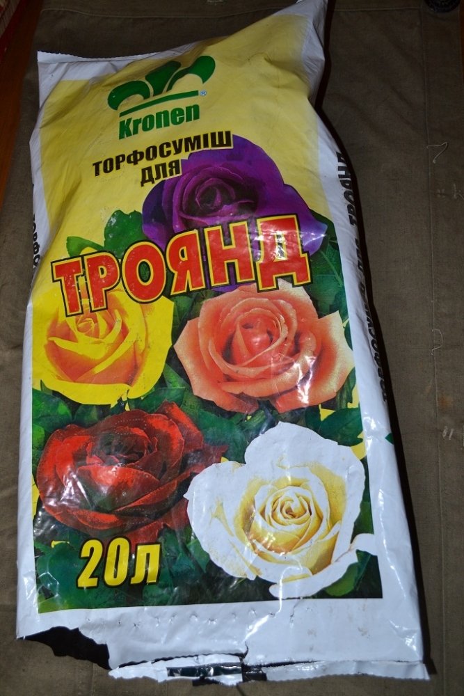 post-19913-0-42379200-1395169002_thumb.jpg