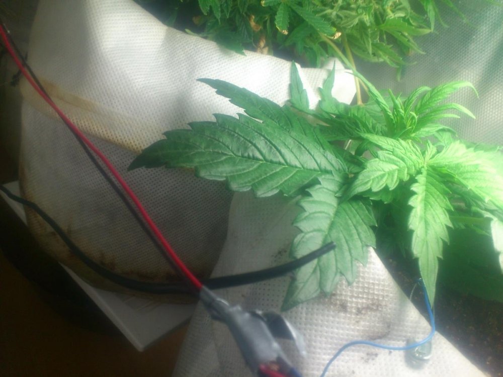 post-24849-0-50313700-1426168542_thumb.jpg