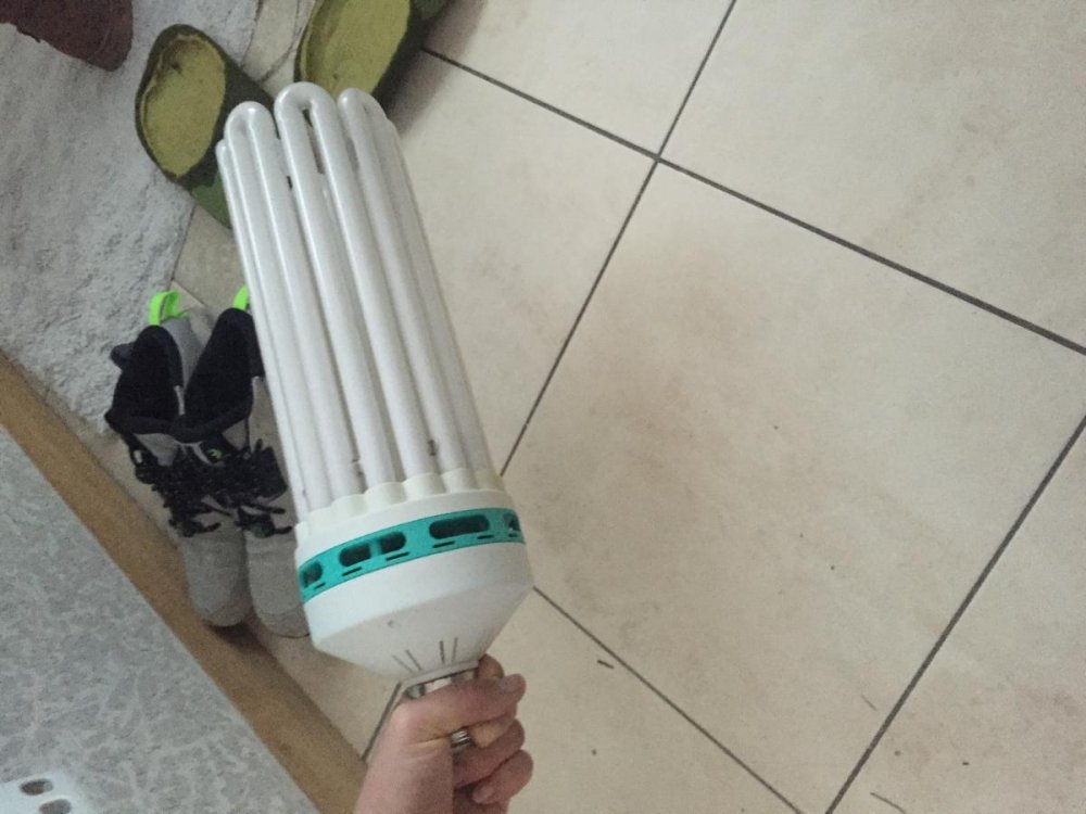 post-25310-0-88543500-1459413478_thumb.jpeg