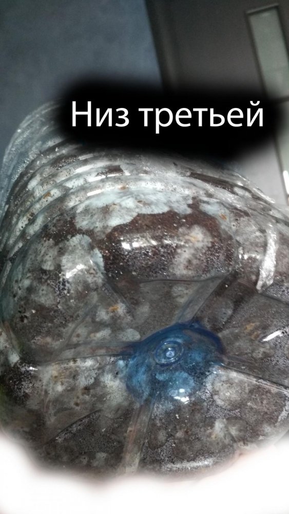 post-12901-0-08809300-1488545875_thumb.jpg