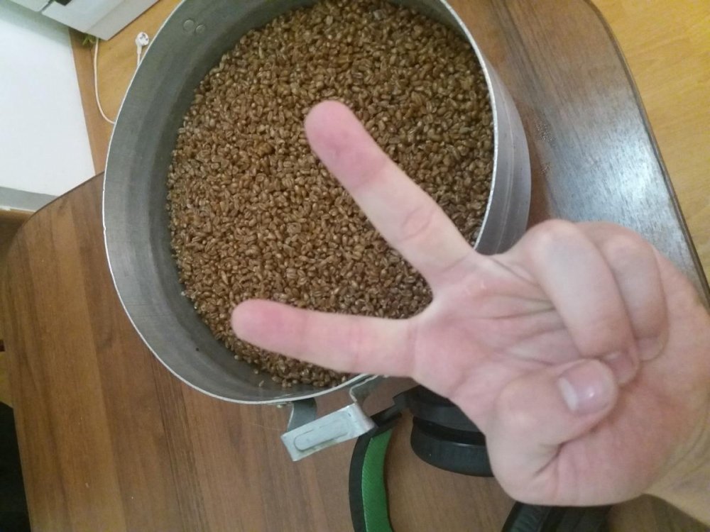 post-41268-0-54015800-1490921043_thumb.jpg