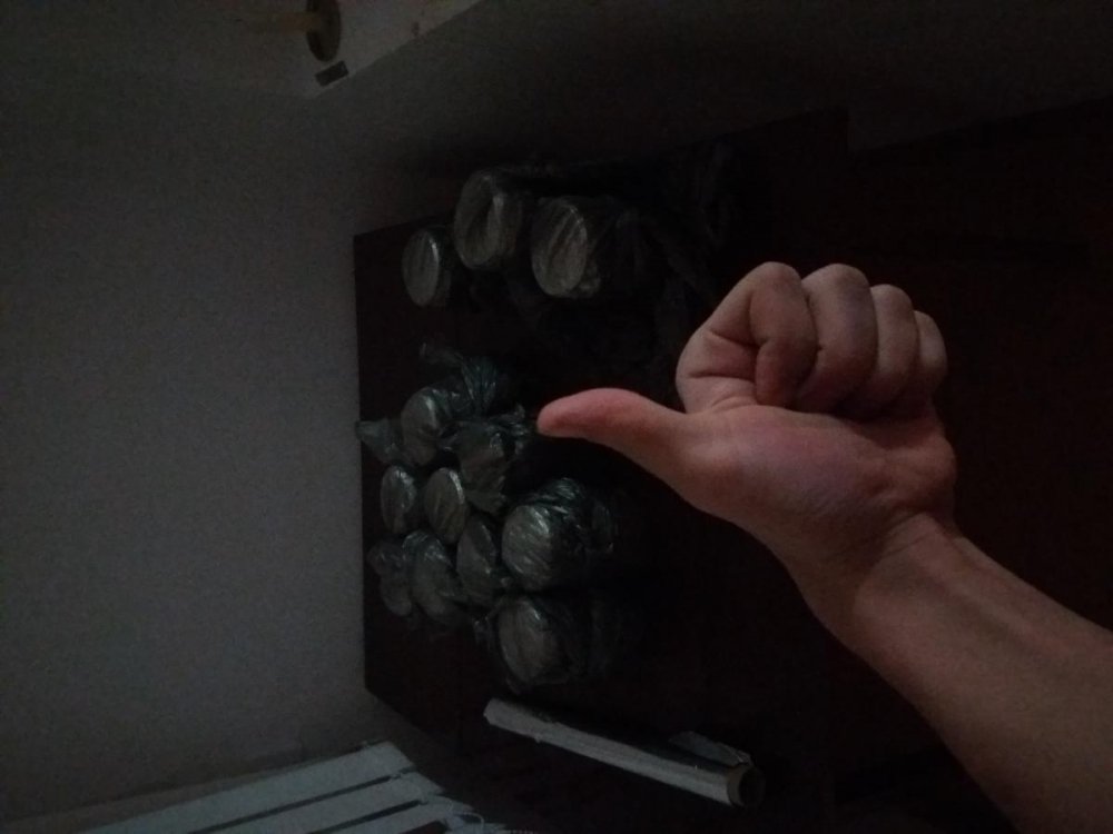 post-41268-0-59811000-1490999888_thumb.jpg