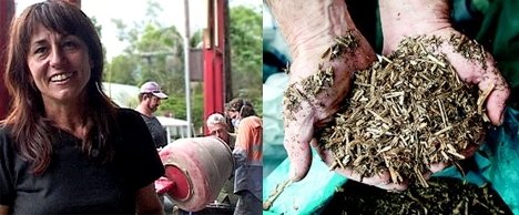 hemp_houses_australia_photo.jpg