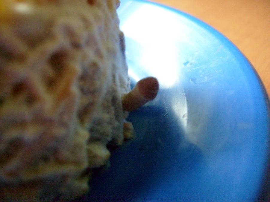 post-91-1207846269_thumb.jpg