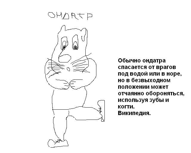 ondatr_fight.JPG